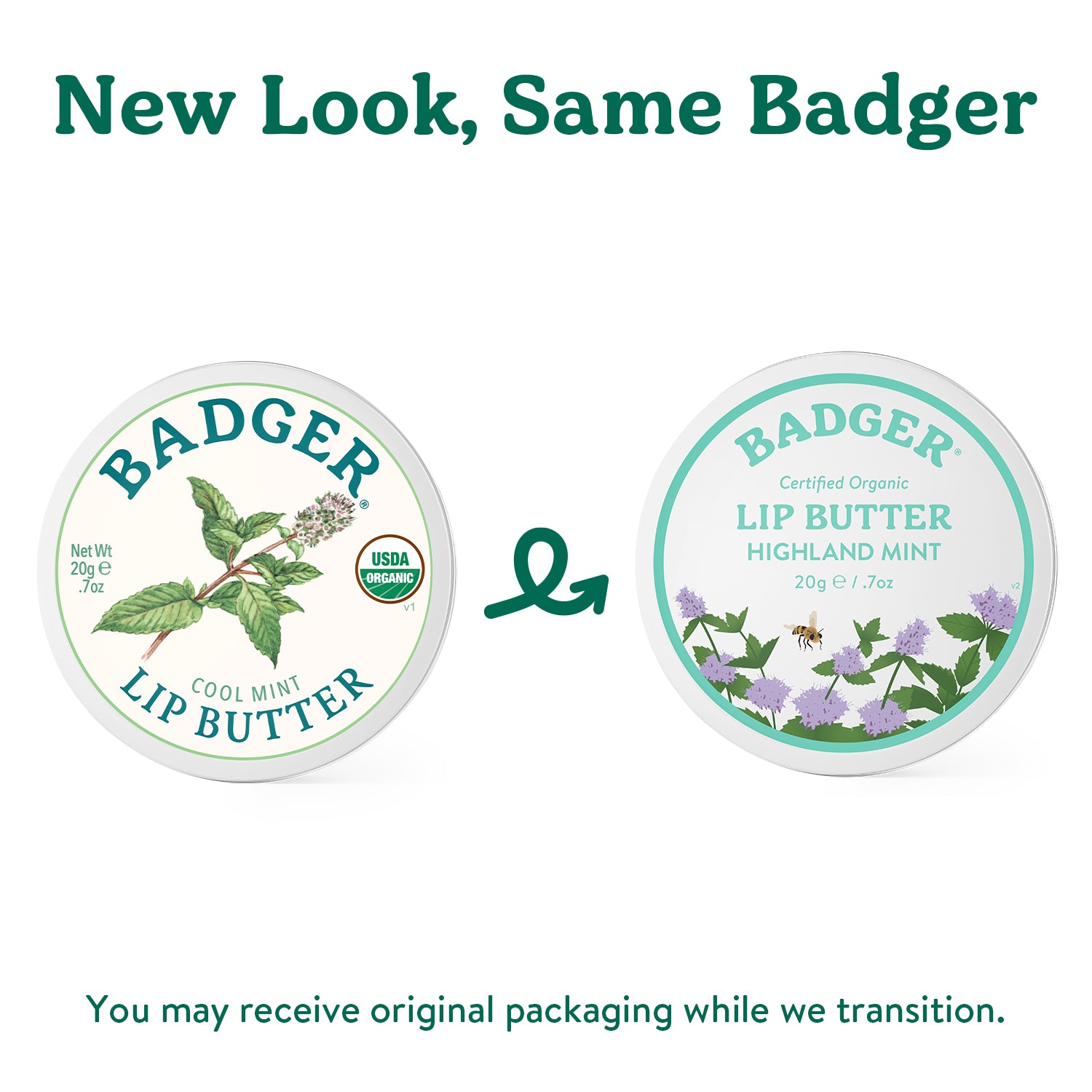 badger-balm-lip-butter-tin-highland-mint-lippenbutter-in-der-dose image 8