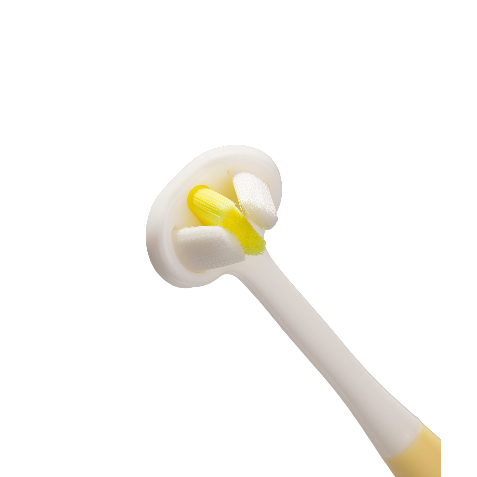 babyton-toothhugger-kinderzahnb-rste-flappy-3-seitig-ab-12-monaten image 2